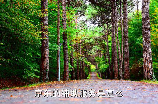 物流輔助屬于什么服務，貨物配服務屬于哪個行業(yè)