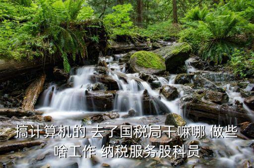 自動化進國稅局做什么，國稅是做什么工作的