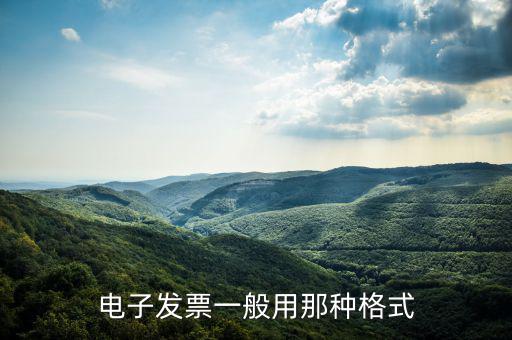 電子發(fā)票什么樣的，蘋果官網(wǎng)買的6的電子發(fā)票是什么樣的