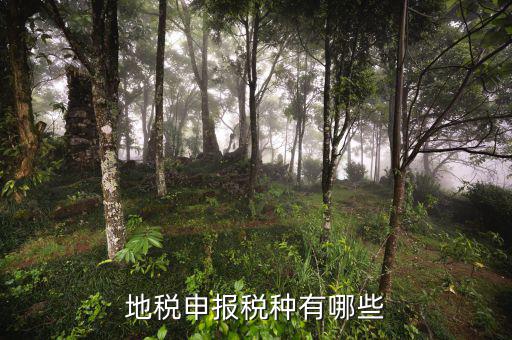 地稅網(wǎng)上申報系統(tǒng)能報什么稅，地稅申報稅種有哪些