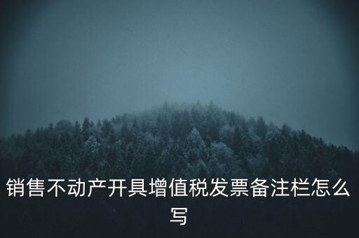 銷售不動(dòng)產(chǎn)開(kāi)具增值稅發(fā)票備注欄怎么寫