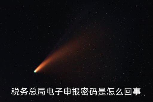 電子稅務默認登錄密碼是什么意思，稅務局網(wǎng)站的登入賬戶初始密碼是什么