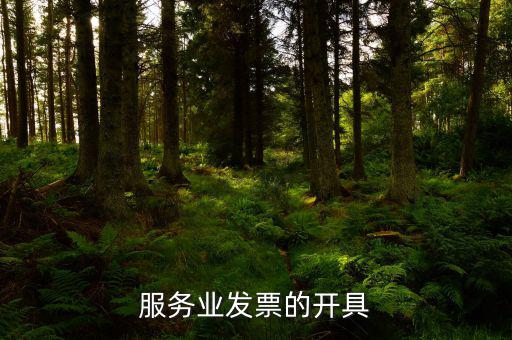 服務(wù)行業(yè)用什么發(fā)票，服務(wù)業(yè)發(fā)票的開具