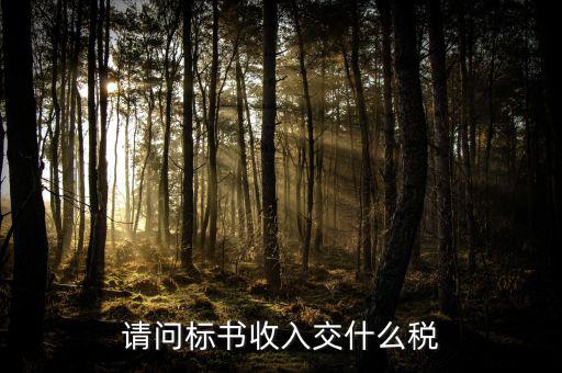 請(qǐng)問標(biāo)書收入交什么稅