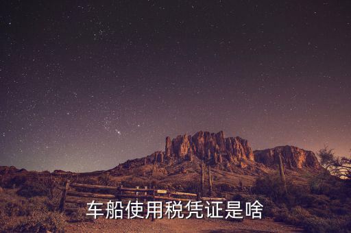 車船稅繳納憑證是什么意思，車船使用稅憑證是啥