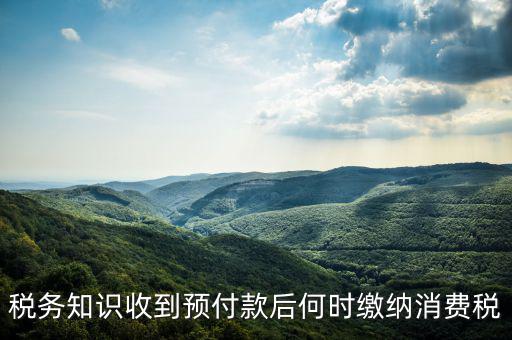 消費(fèi)稅是什么時(shí)候交，各種稅費(fèi)交納時(shí)間