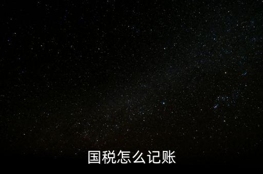 什么稅收記賬，國稅怎么記賬