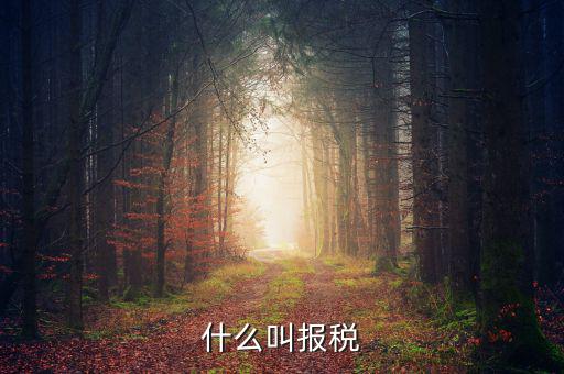 云廳報稅是什么，手機報稅需要使用什么系統(tǒng)呢