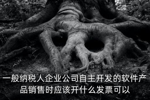 賣軟件交什么稅，一般納稅人企業(yè)公司自主開發(fā)的軟件產(chǎn)品銷售時應(yīng)該開什么發(fā)票可以