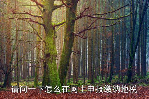 地稅個稅網(wǎng)址是什么，如何查詢個人所得稅明細(xì)