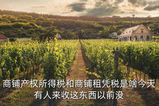 什么是商鋪?zhàn)赓U稅，商鋪出租應(yīng)交哪些稅