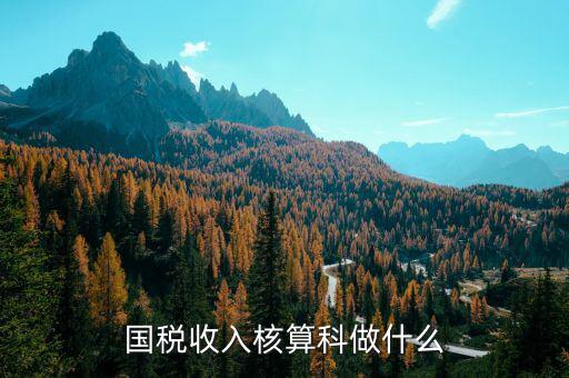 收入規(guī)劃核算處做什么的，收入核算是做什么的