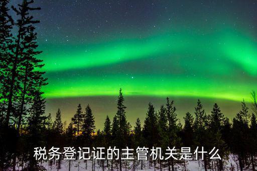 稅務登記證的主管機關是什么