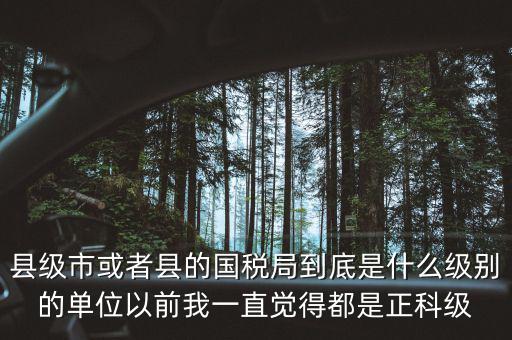 縣國稅局辦稅服務廳主任是什么級別，縣地稅局辦公室主任是什么行政級別