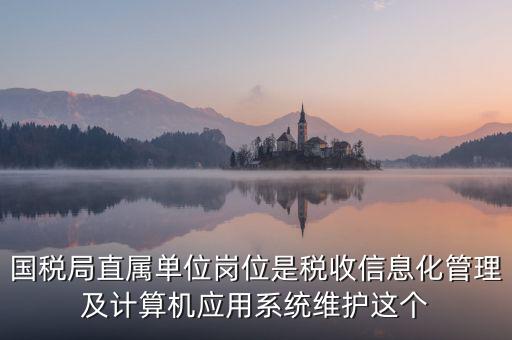 國稅局直屬單位崗位是稅收信息化管理及計算機應(yīng)用系統(tǒng)維護這個