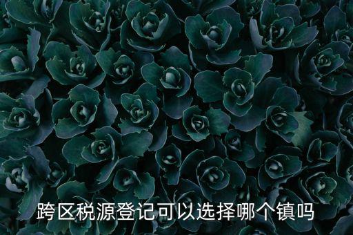 跨區(qū)稅源登記是什么，跨區(qū)稅源登記能否登記為一般納稅人