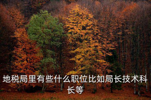 地稅局有什么委員，地級(jí)市稅務(wù)局辦公室副主任屬什么級(jí)別的官員