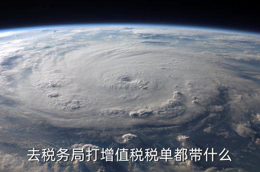 國稅局打印稅單要什么，到稅務(wù)打印稅單需要什么資料