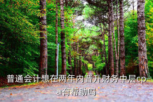 國稅有什么升職路線，普通會(huì)計(jì)想在兩年內(nèi)晉升財(cái)務(wù)中層cpa有幫助嗎