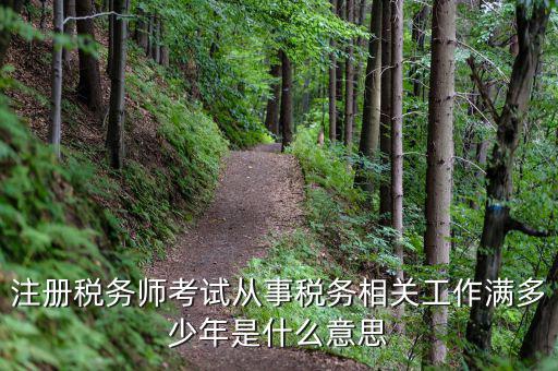 稅務(wù)從業(yè)人數(shù)是什么意思，請(qǐng)問(wèn)稅務(wù)自查表中的查 數(shù)是什么意思急