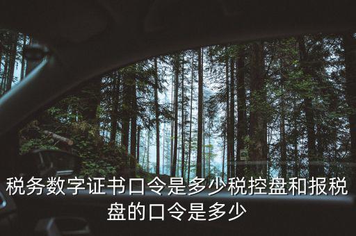國稅證書口令是什么，我想問下國家稅務網上申報點擊安全登錄時出現(xiàn)的用戶口令是什么