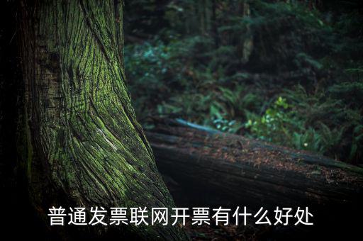 普通網(wǎng)絡(luò)發(fā)票有什么用，開普通發(fā)票網(wǎng)絡(luò)受理號有什么作用