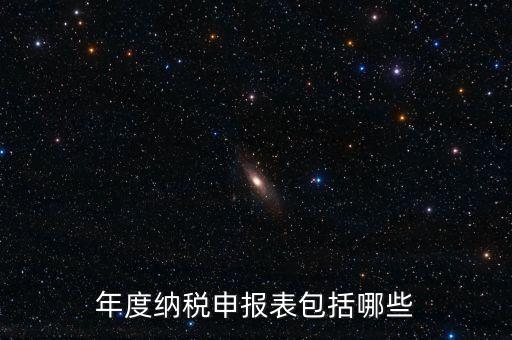 什么是年度納稅申報(bào)表，年度納稅申報(bào)表包括哪些