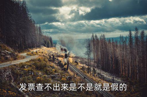 什么發(fā)票查不到真假，增值稅的發(fā)票真?zhèn)尾椴坏皆趺崔k