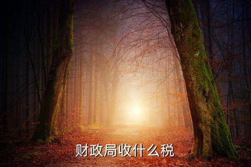 財(cái)政局征收什么稅，現(xiàn)行由財(cái)政機(jī)關(guān)征收的稅收有哪些拜托各位大神