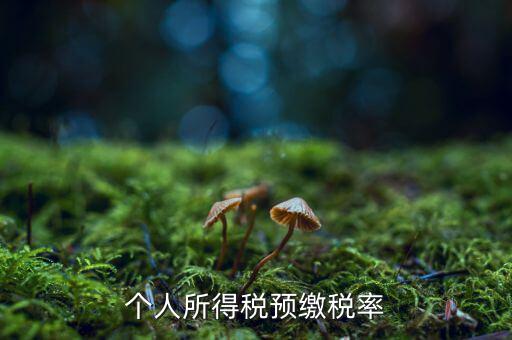 什么是個人所得稅預征率，個人所得稅預扣預繳是什么意思
