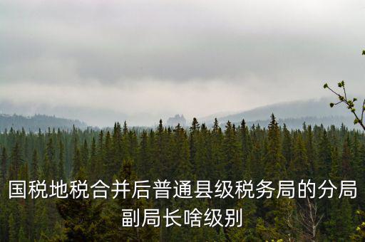 國稅地稅合并后普通縣級(jí)稅務(wù)局的分局副局長(zhǎng)啥級(jí)別