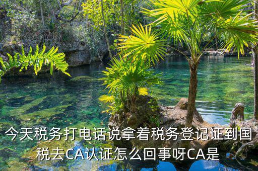 電子稅務(wù)局什么是ca登錄，網(wǎng)上報(bào)稅CA驗(yàn)證系統(tǒng)是甚么