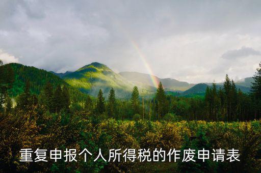 申報表作廢申請單 要帶什么，國稅報表作廢帶什么
