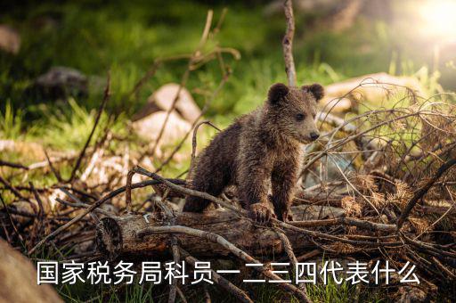上海稅務(wù)局說的三員指什么，紀(jì)檢三員是指哪三員選舉三員是指哪三員