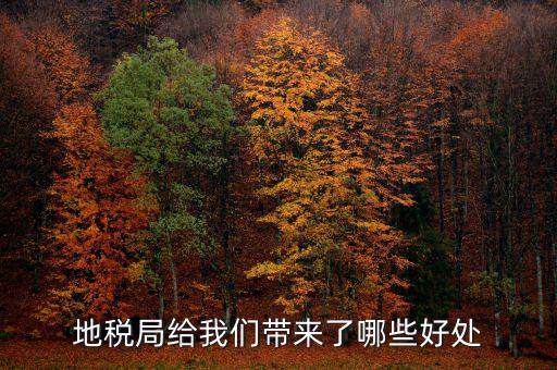 地稅有什么作用，地稅局給我們帶來了哪些好處