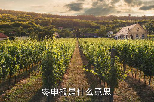 免于零申報(bào)什么意思，免于零申報(bào)是什么意思