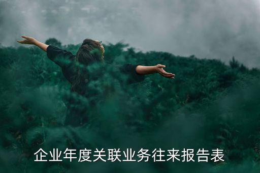 企業(yè)年度關聯報告表是什么意思，企業(yè)年度關聯業(yè)務往來報告表