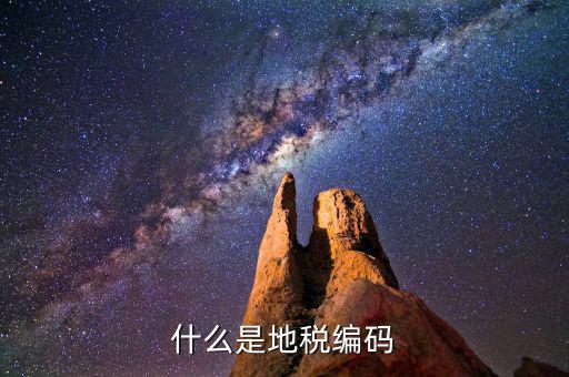 地稅編碼是什么意思，什么是地稅編碼