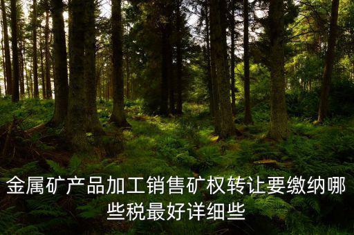 金屬礦產(chǎn)品加工銷售礦權(quán)轉(zhuǎn)讓要繳納哪些稅最好詳細些