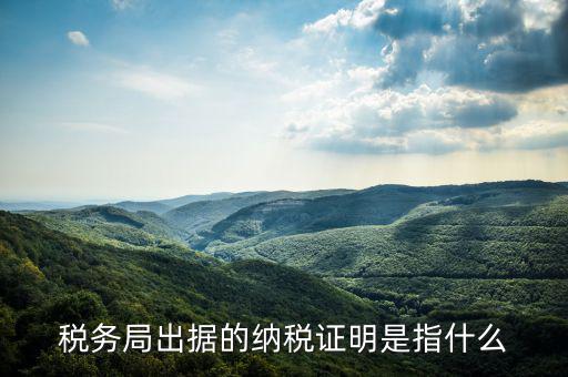 稅繳納證明是什么，什么是個人納稅證明