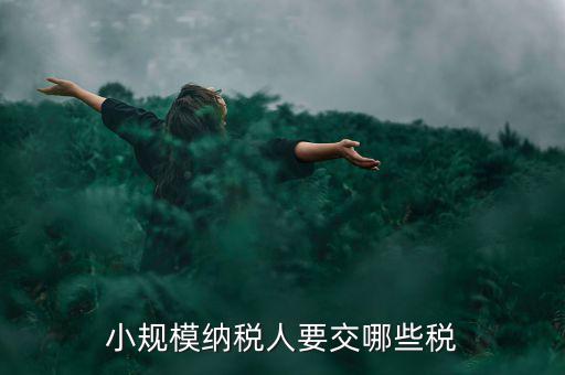 小規(guī)模納稅人報什么稅，小規(guī)模納稅人要交哪些稅
