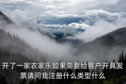 我要是以開普票為主 注冊什么性質(zhì)的公司好，開了一家農(nóng)家樂如果需要給客戶開具發(fā)票請問我注冊什么類型什么