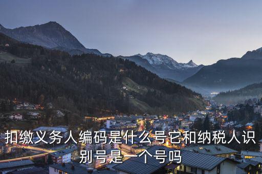 易稅門戶扣繳義務(wù)人編碼是什么，易稅門戶中扣繳義務(wù)人編碼指什么