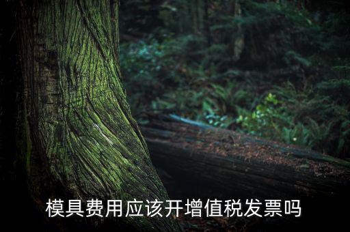 模具設(shè)計開發(fā)費(fèi)開什么發(fā)票，模具開發(fā)及制造費(fèi)一般開什么發(fā)票明細(xì)