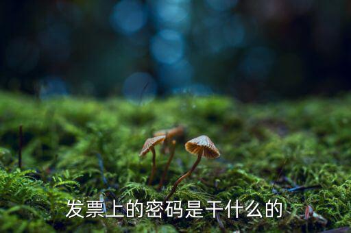 湖南汽車(chē)發(fā)票密碼是什么意思，發(fā)票上的密碼是做什么用的啊