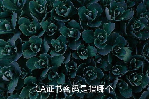 CA證書密碼是指哪個(gè)