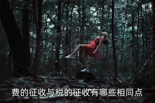 稅與費有什么區(qū)別 稅收具有，費的征收與稅的征收有哪些相同點