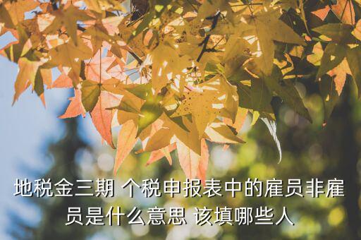 雇員納稅人是什么意思，地稅金三期 個稅申報表中的雇員非雇員是什么意思 該填哪些人