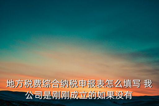 地稅不開票需填什么表，地方稅費綜合納稅申報表怎么填寫 我公司是剛剛成立的如果沒有