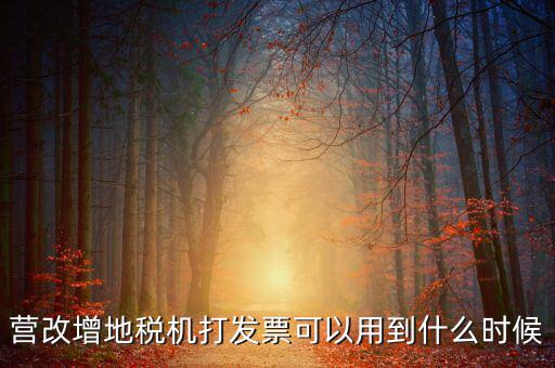 地稅發(fā)票能用到什么時(shí)候，納稅人已領(lǐng)取地稅機(jī)關(guān)印制的發(fā)票可以使用到什么時(shí)候
